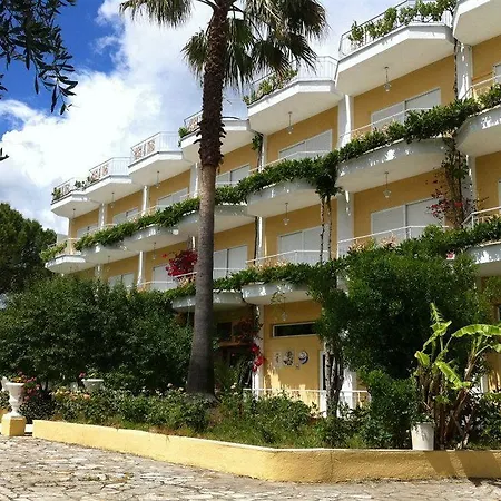 Paloma Blanca イプソス
