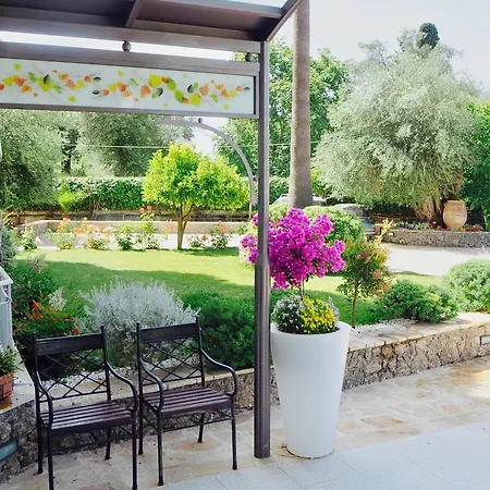 Paloma Blanca מלון